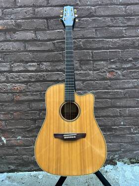 Eg-100 Takamine 6 String Righty Acoustic Electric Dreadnaught Cutaway With Case