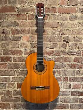 Eg-124sc Takamine G Series Acoustic/electric Guitar