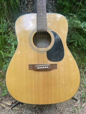Eg-245 Takamine Passive Acoustic-electric Guitar