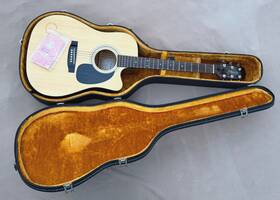 Eg-330sc Takamine Acoustic Electric Guitar With Equalizer And Travel Case G Series