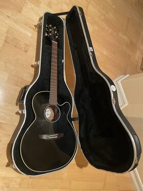 Eg141c Takamine Acoustic Electric Guitar With Equalizer Preamp In Hard Case