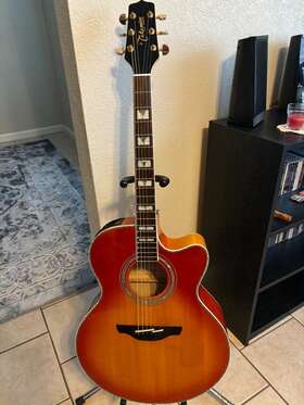 Eg523cdx-hb Takamine 2010 - Honey Burst