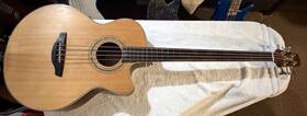 Egb255sc Takamine Acoustic Electric Bass Guitar Needs Re-freting Good Condition