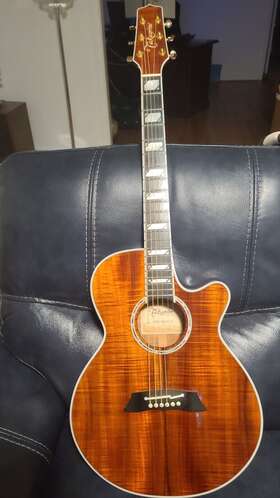 Tsp17back Takamine Takemine Thinline Acoustic/electric N