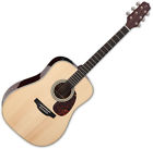 Takcp5doad Takamine Oad Dreadnought Acoustic Guitar Natural Gloss 799493261196