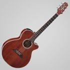 Takef261san Takamine Legacy Series Acoustic Guitar In Gloss Antique 799493250367