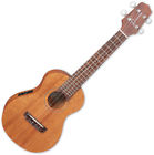 Takeguc1 Takamine Acoustic Electric Concert Ukulele Natural Satin 799493251081