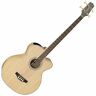 Takgb72cenat Takamine Acoustic Electric Bass In Natural Finish 799493251166