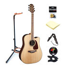 Takgd93cenatk1 Takamine Acoustic Electric Guitar With Tuner Stand Strap 600074107539