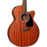 Takgn11mcens Takamine Guitar Satin Natural 799493269345
