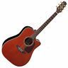 Takp5dcwb Takamine Pro Series Cutaway Acoustic Guitar In Whiskey 799493253740