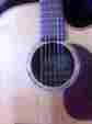 Tan16 Takamine Cov Supernatural Series Made In Japan