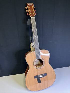 Tgc120ent Tanara Acoustic Electric Grand Concert Guitar