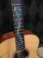 Tay-gs-fl-2010 Taylor 2010 Fall Ltd Gse