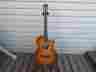 Taylor 2011 Ga-spring 12th Cedar Macassar Rare Ltd 12 Fret Ebony Acoustic Guitar