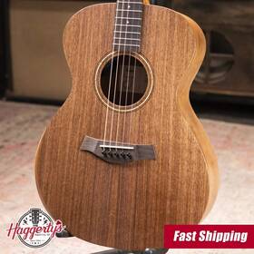 Taylor 887766143765 Jacob Collier Signature Academy 22e 5-string Acoustic/electric Guitar Wit