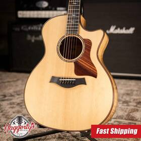 Taylor 887766146827 814ce Special Edition Grand Auditorium Acoustic/electric Guitar - Sassafr