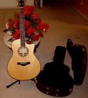 Taylor Amazing Limited Edition Gs