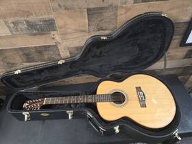Stj150ent-10 Teton Sports Guitars Acoustic Electric Guitar 10 String With Case