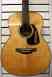Tle-m1 Spruce Edition Bearclaw Case Acoustic Guitar Limited Electric Takemine
