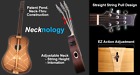 Trad-1-p-n Riversong Guitars Tradition 1 Performer
