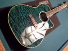 Tx-20qe Tokai Very Rare Acoustic