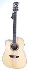 Usm-wd10scelh Washburn Wd10scelh Acoustic Electric 801128802961