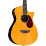 V-om1000nsx Rainsong Rain Song Vintage Series Om Guitar Tint 856319000183