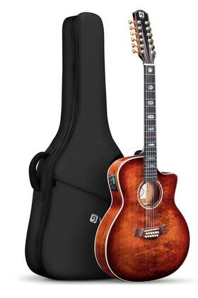 Veg120 Vangoa Pro 12 String Guitar Acoustic-electric