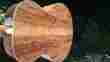 W-15 Taylor Tayolor Claro Walnut