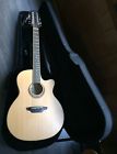 Wabi Dc 12 Luna Guitars Guitar With Case Barely Played Girl