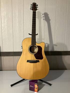 D500ce Walden Natura Dreadnought 6-string Cutaway Acoustic-electric Guitar