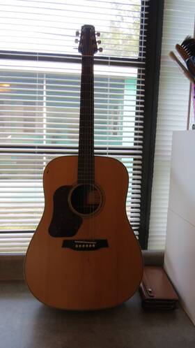 D600l Walden Natura D600 L Acoustic Guitar With Soft Case Left Handed Marks