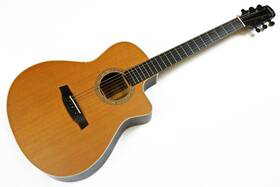 G3030ceq Walden Supranatura Grand Auditorium Acoustic Electric Guitar -a