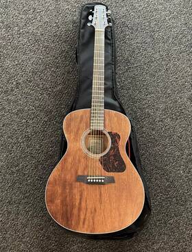 G551e Walden G551e/w Solid Mahoganytop Grand Auditorium Acoustic Electric Guitar With Bag