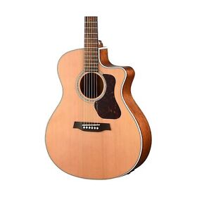 G770ce-w Walden Natura All-solid Cedar Mahogany Grand Auditorium Acoustic