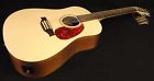 Walnut 12 Isyst Seagull 12-string 623501039197