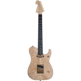 Washburn 801128567990 Neledlx-d Nele Deluxe Nuno Bettencourt Signature Model Hardshell Case