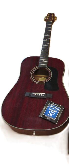 D100mtwr Washburn Six String Acoustic Unstrung Guitar With Martin And Co Strings