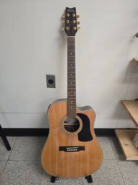 D10scedl Washburn