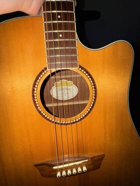 D12sce Washburn Beautiful Acoustic Electric Guitar Cutaway