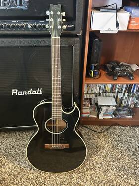 Ea44b Washburn