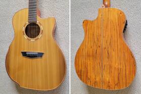 G66sce Washburn Comfort Spalt Maple Acoustic Electric Guitar Natural Hs Case