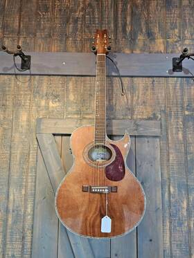 Am1077948 Washburn Guitars Ea-koa19 6 String Acoustic Electric Guitar With Case