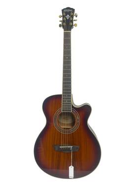 He3032304 Washburn Guitars Ea55g-a-u Cutaway Acoustic Electric Guitar
