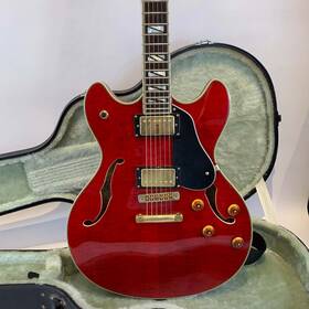 Hb-35s Washburn Guitar