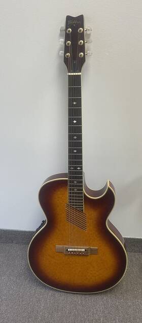 S9201921 Washburn Cutaway Guitar - Natural With Equiss Ii