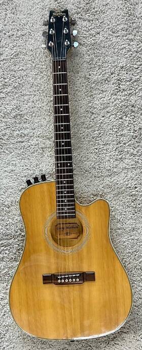 Sbf-24 Washburn Case Rare 1980s In Natural/blonde Finish / Pete Townsend