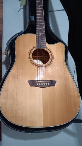 Wd40sce Washburn 2010/11 Acoustic/electric Guitar With Hardshell Case And Fishman
