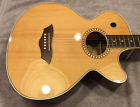 Wb200scek Washburn Mint Anniv Baby Jumbo Acoustic Guitar Factory